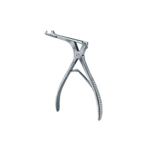 Ear Punches [Type-A]